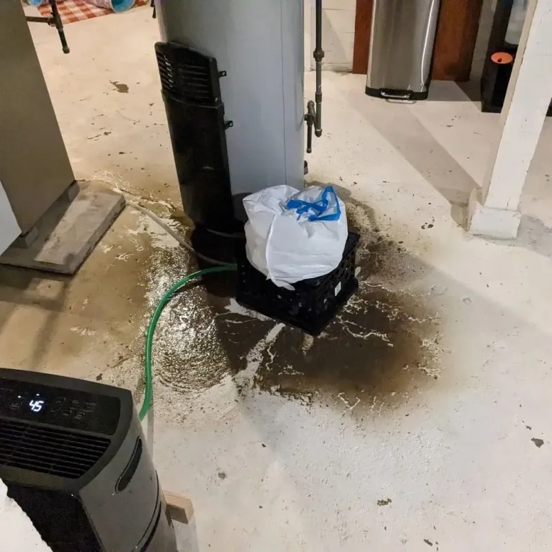 Sewage Backup Cleanup Service in Merrimac, VA